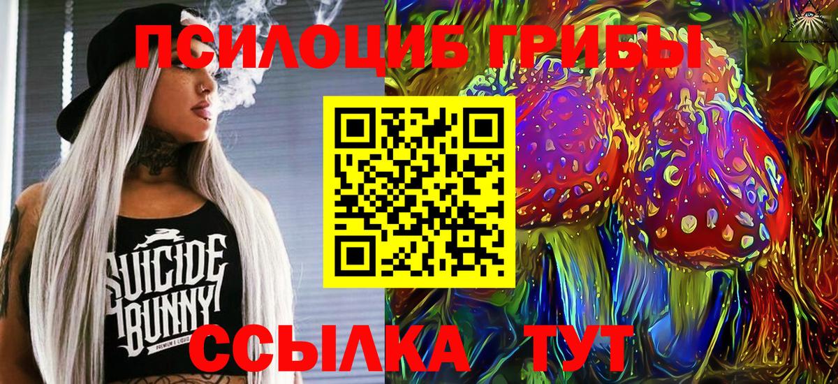 Галлюциногенные грибы мухоморы Сочи
